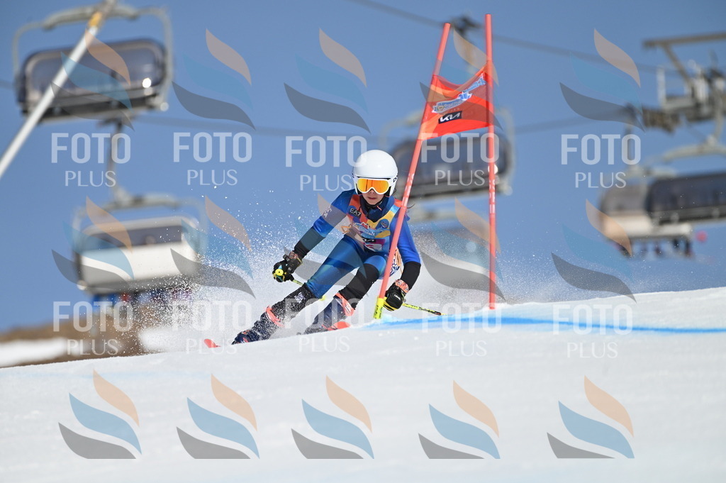 BGV_8060 | holidayphoto