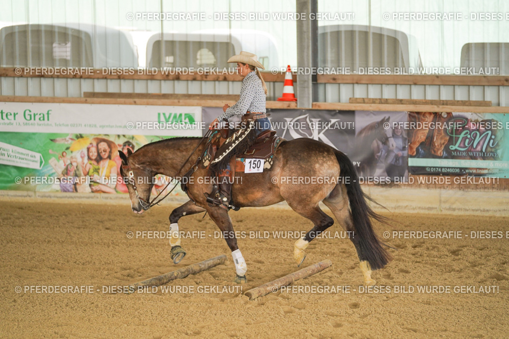 DSC02789 | Pferdegrafie