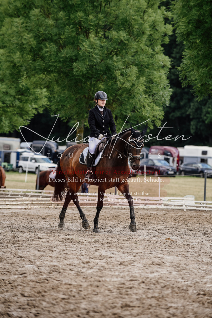 DSC_0751 | Pferde- und Turnierfotografie in Westsachsen. Pferdeportraits, Auftragszeichnungen und intuitive Kunst.