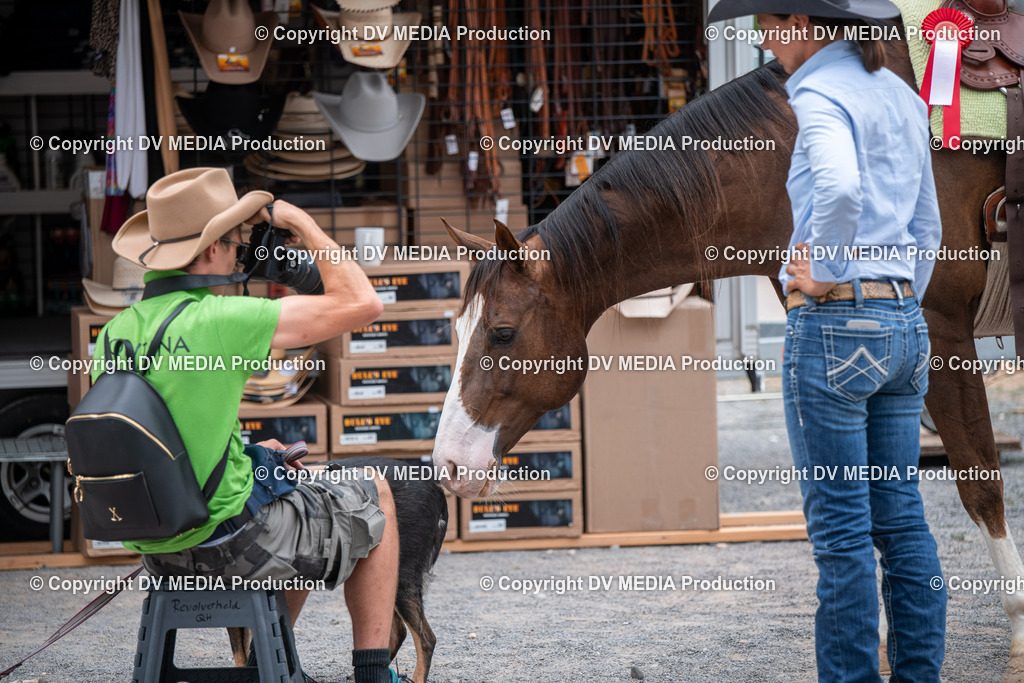 ZS2_7814 | dv-media-shop - Realisiert mit Pictrs.com