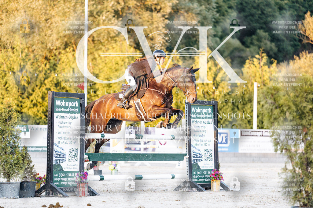 CK901223 | Turnierfotografie Pferdefotografie Trier Rheinland-Pfalz Pferdesport Reitsport Tierfotografie Sportfotografie Pferdevideo Pferdevideografie Equestrianvideography equestrianphotography  - Realisiert mit Pictrs.com