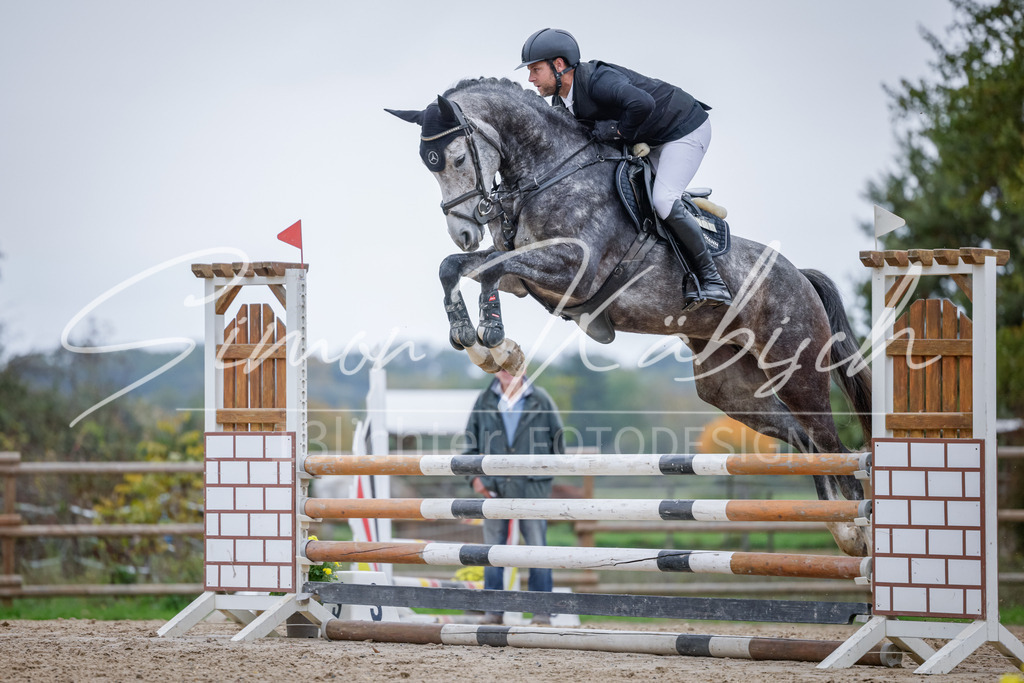 20251012-_3LI4079 | Tierfotografie Pferde, Hunde, Katzen, Haustiere.
Turnierfotografie Reitturniere, Reiten, Springreiten, Dressur in Hanau, dem Main-Kinzig-Kreis und dem Rhein-Main- Gebiet um Frankfurt
