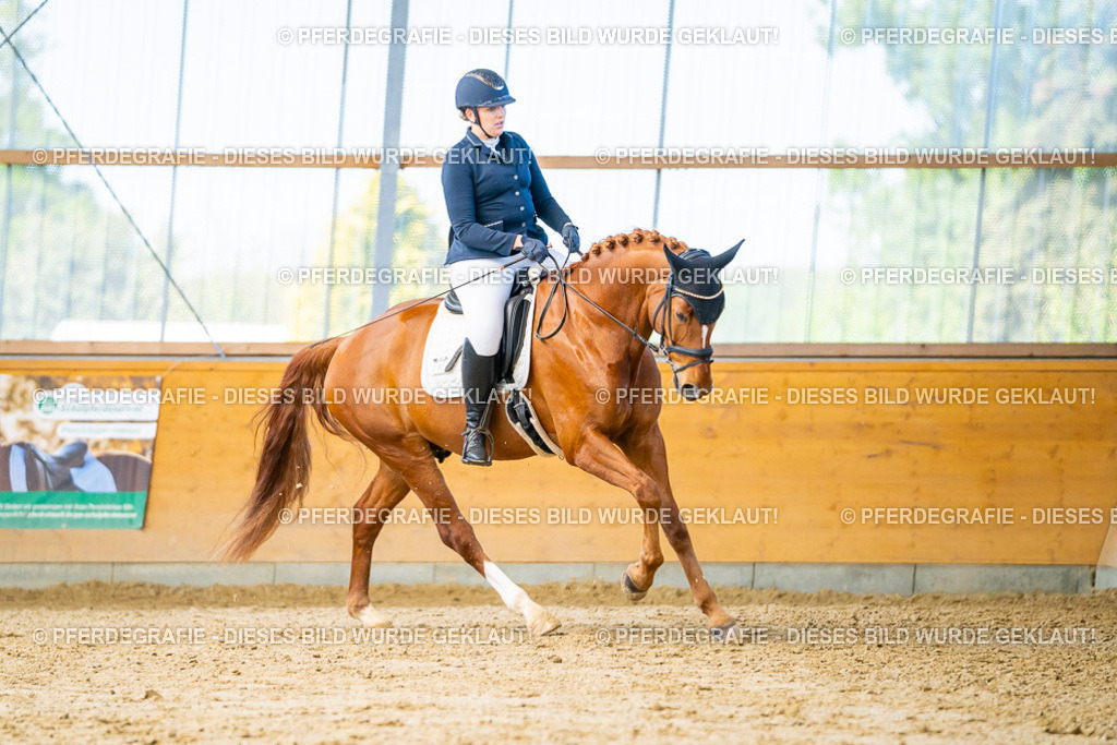 DSC07511 | Pferdegrafie