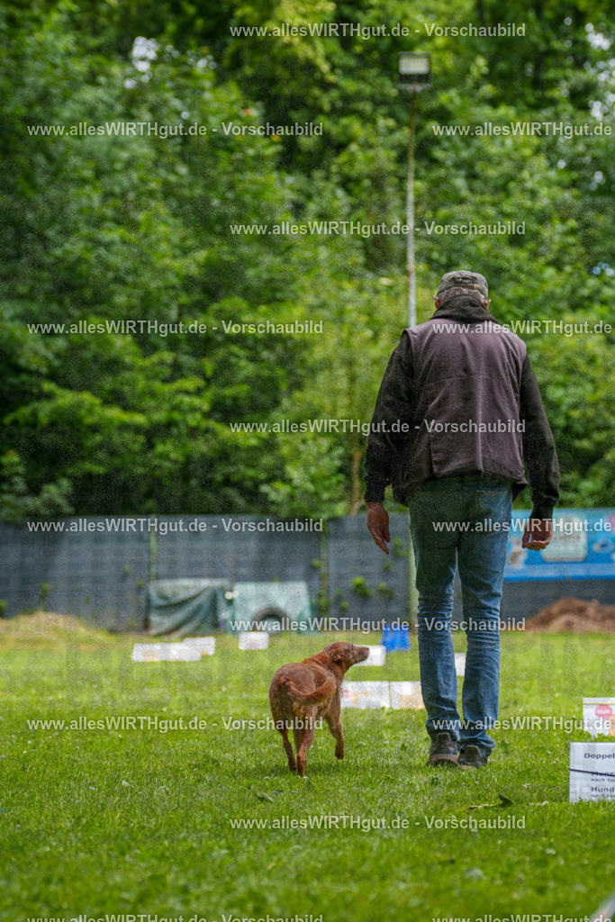@allesWIRTHgut_Tierfotografie - www.allesWIRTHgut.de - 121625-7R508769 | Professionelle Tierfotografie in Mönchengladbach von Daniel Wirth (allesWIRTHgut). Liebevolle & natürliche Bilder von Hunden & Katzen für unvergessliche Erinnerungen.