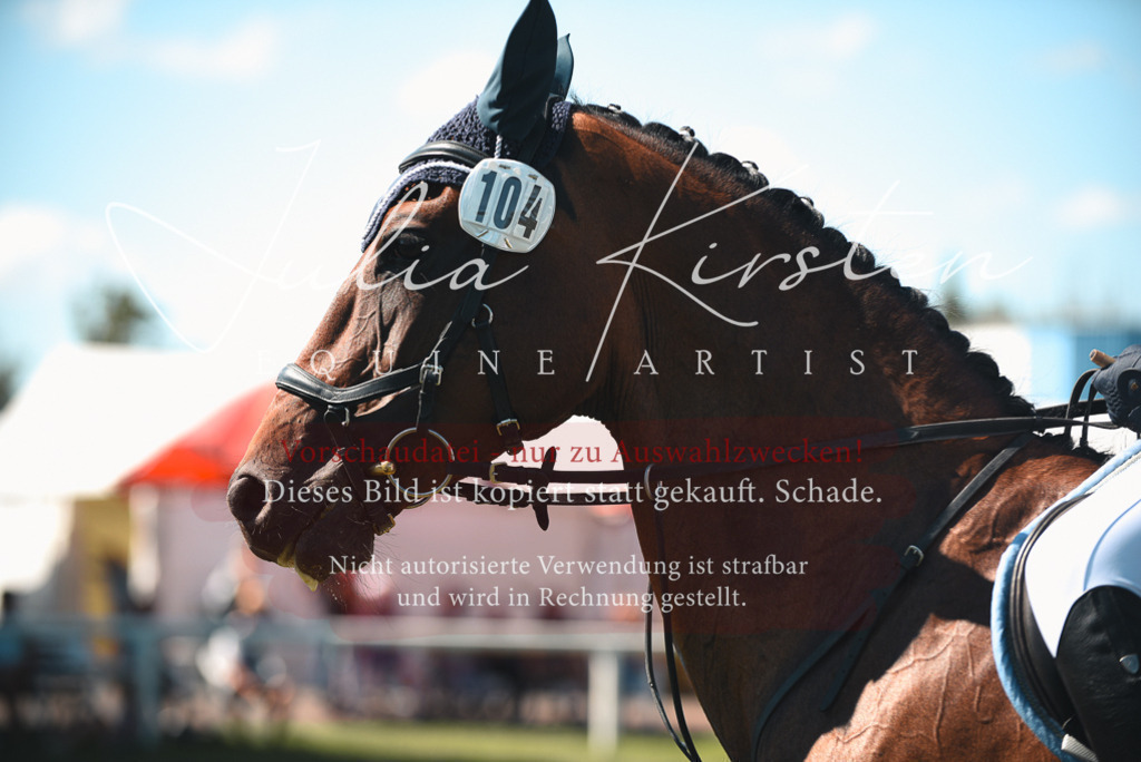 DSC_7236 | Pferde- und Turnierfotografie in Westsachsen. Pferdeportraits, Auftragszeichnungen und intuitive Kunst.