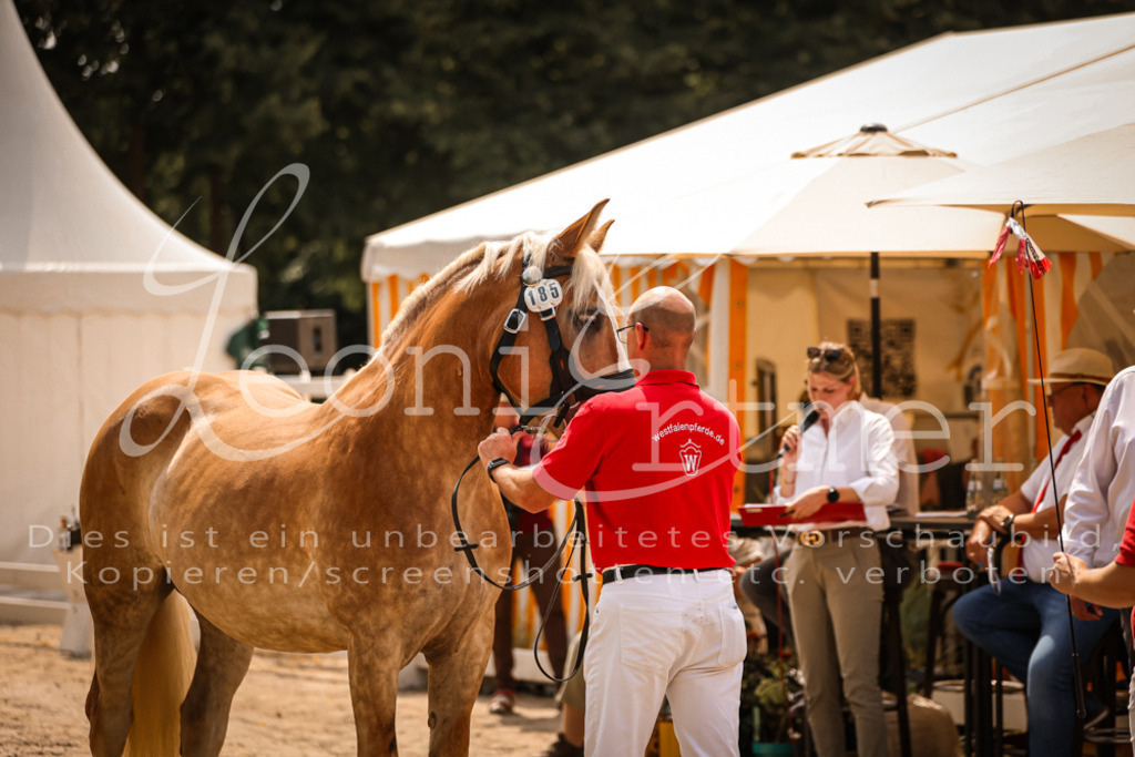 2.Sa00091 | Leoni Ertmer Photography - Realisiert mit Pictrs.com