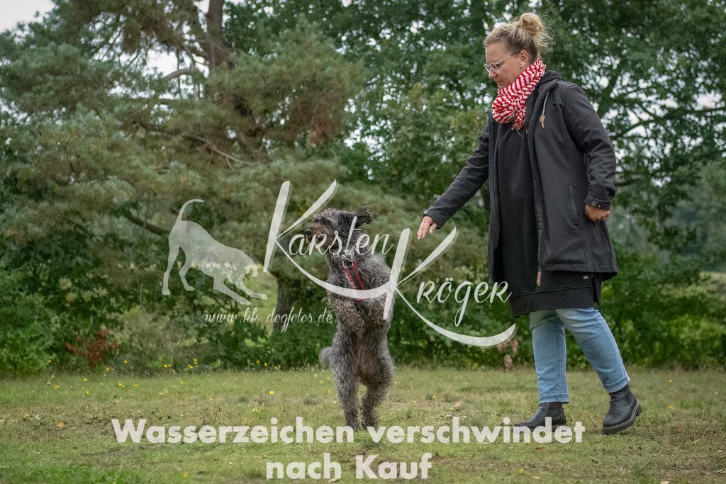 1509_ZZ94590-2-Bearbeitet | kk-dogfotos