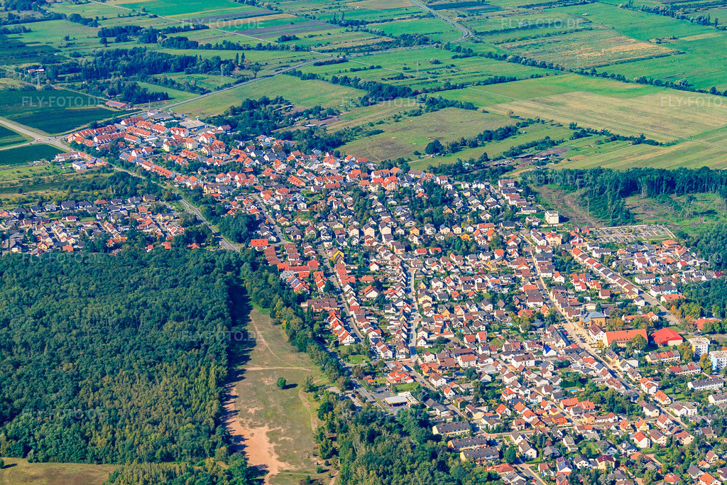 Luftbild: Mannheimer Straße in Birkenheide im Bundesland Rheinland-Pfalz in Deutschland. Foto: IMG_34431.jpg vom 03.10.2010 durch Werner Riehm/FLY-FOTO.de