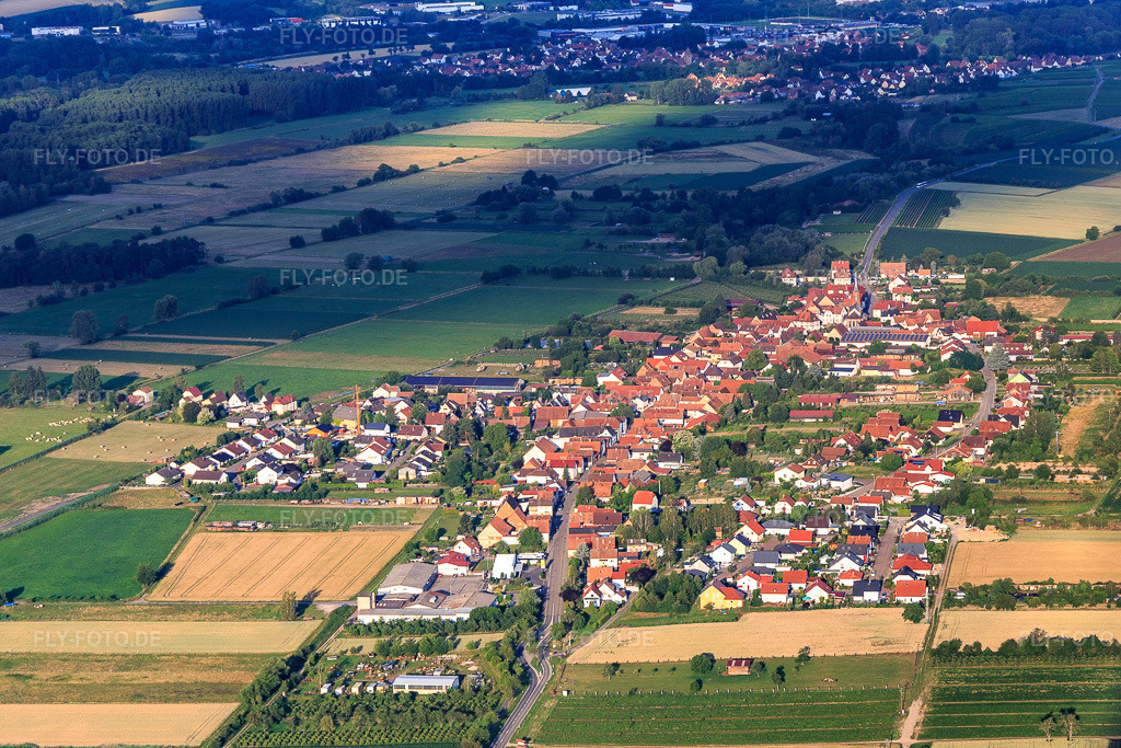 Luftbild: Ortsansicht von Osten in Schweighofen im Bundesland Rheinland-Pfalz in Deutschland. Foto: IMG_120918.jpg vom 26.06.2020 durch Werner Riehm/FLY-FOTO.de
