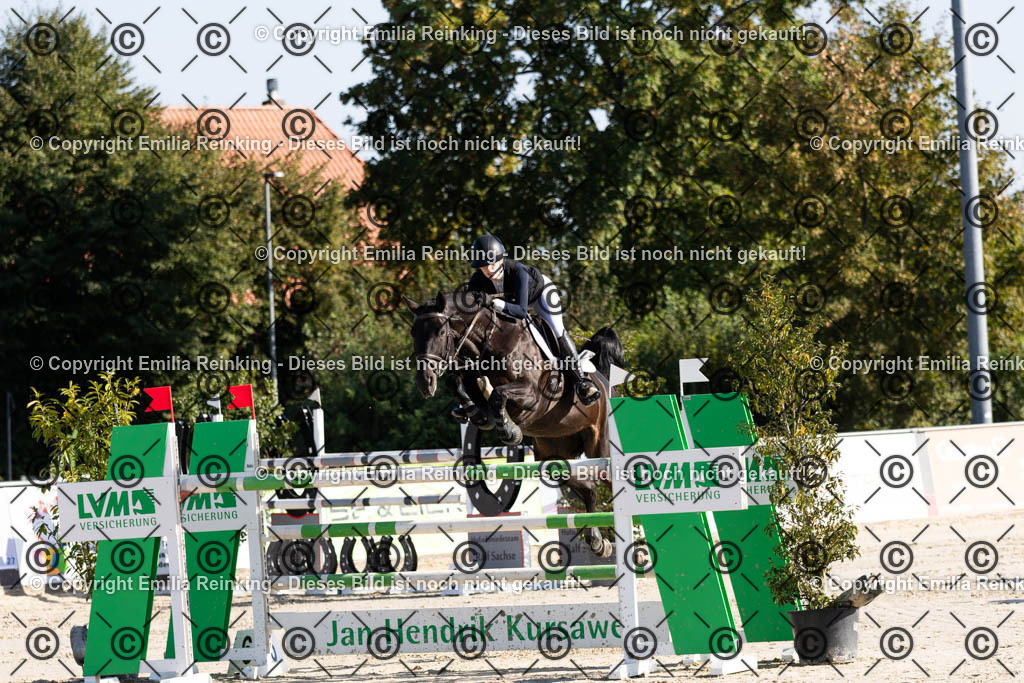 CL5A8000 | Emilia Reinking Fotografie - Realisiert mit Pictrs.com