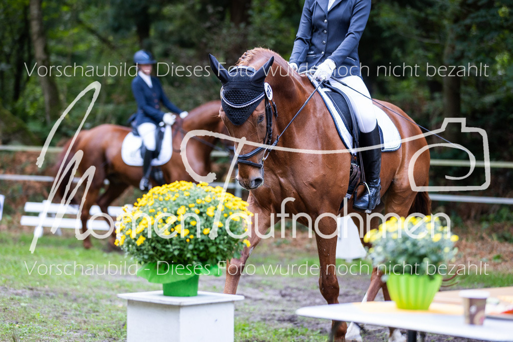 HB-A-Dressur-055 | MomenTaufnahmen Pferdesportfotos