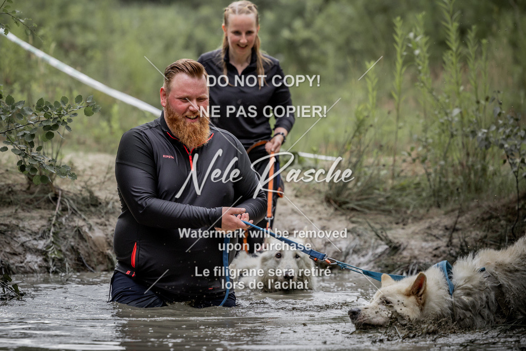 nelerasche_so0800-0930_443 | nelerasche