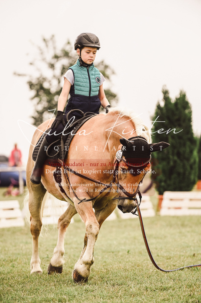 DSC_5318 | Pferde- und Turnierfotografie in Westsachsen. Pferdeportraits, Auftragszeichnungen und intuitive Kunst.