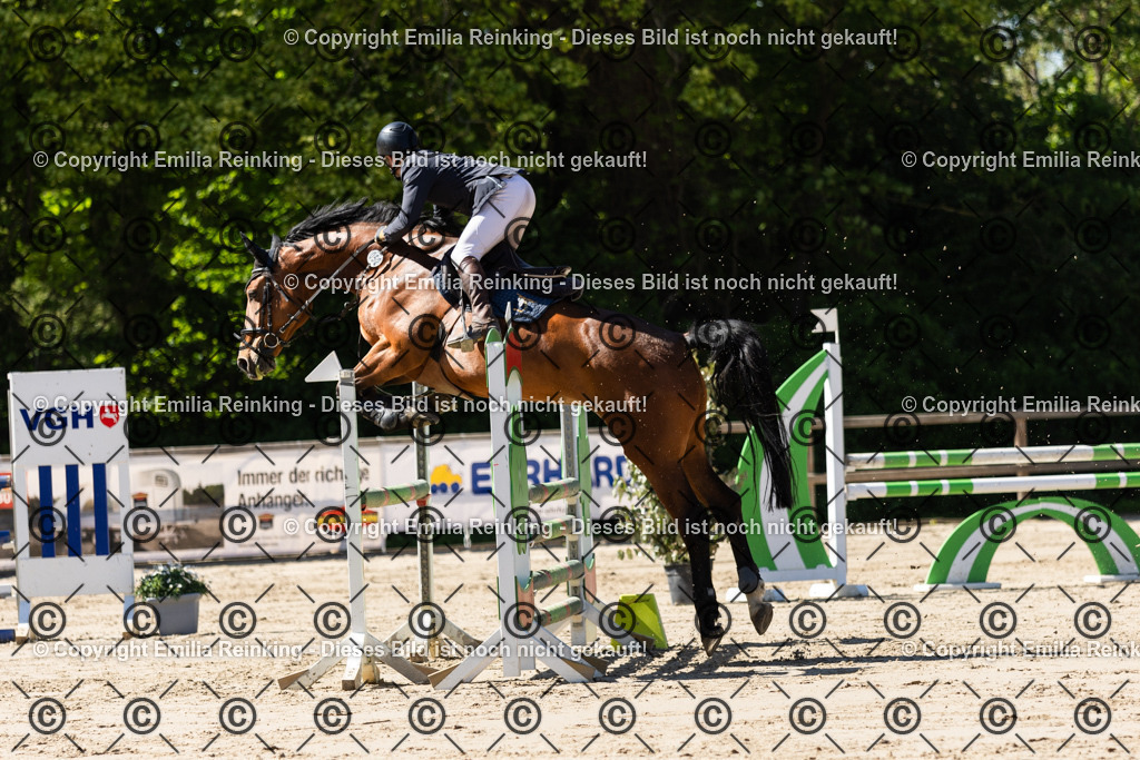 CL5A2853 | Emilia Reinking Fotografie - Realisiert mit Pictrs.com