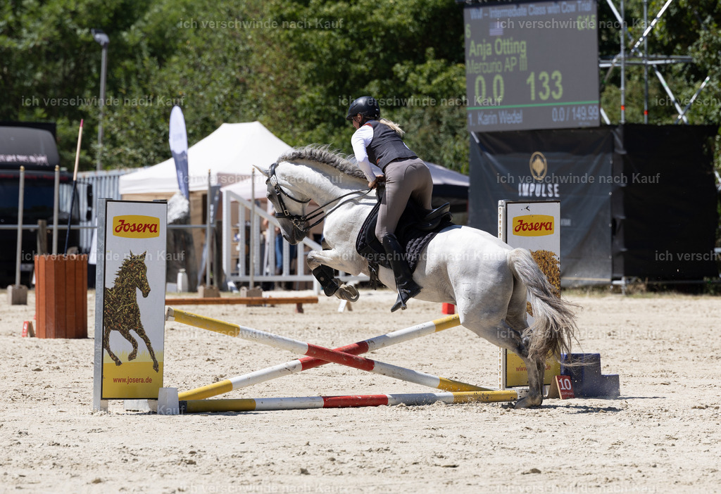 WM_Speed_83_KerstinBernhardt-13 | working equitationturnier fotograf videograf stoibphotography marixx film working equitation deutschland reitsport turnierfotografie eventfotografie equestrian events