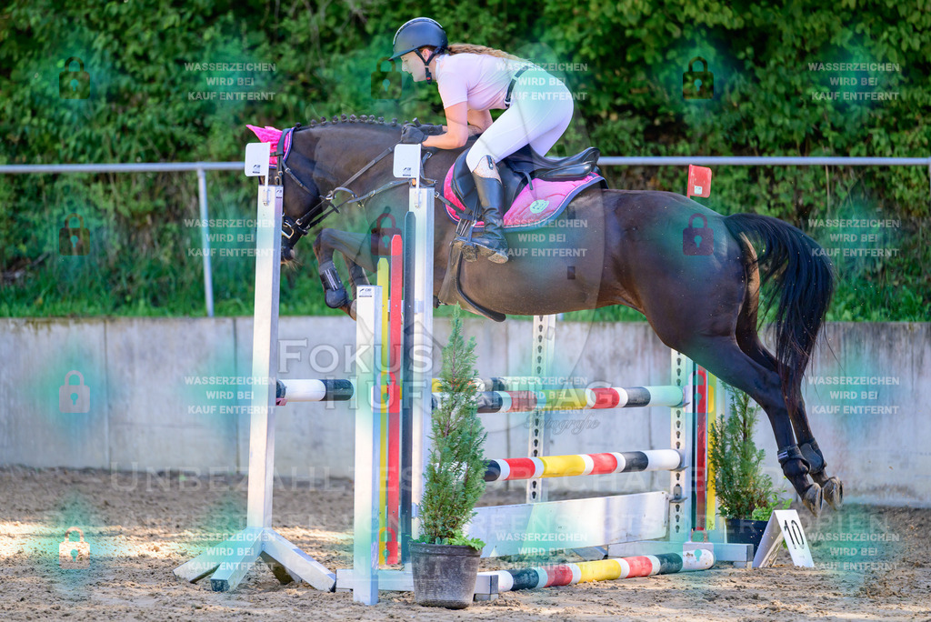 29082026-Giesenbach-Prfg10-0083 | Fokus Hufschlag Fotografie - Realisiert mit Pictrs.com