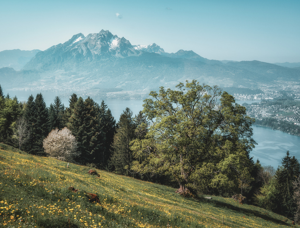 Seebodenalp 2 | Blick von der Seebodenalp auf Pilatus und Vierwaldstättersee - Realisiert mit Pictrs.com