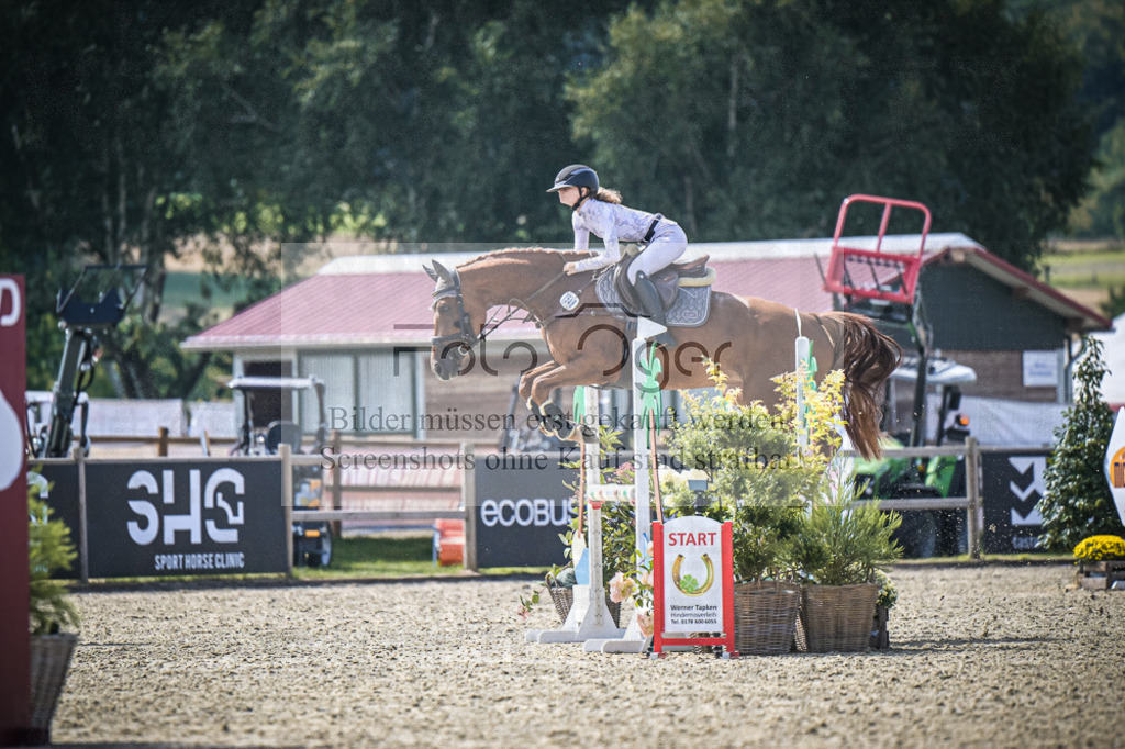 DOS_8102 | Entdecke hochwertige Reitturnierfotos von Foto Oger. Professionell, emotional und authentisch – jetzt Lieblingsmomente im Shop bestellen.Deutschlandweite Turnierfotografie. - Realisiert mit Pictrs.com