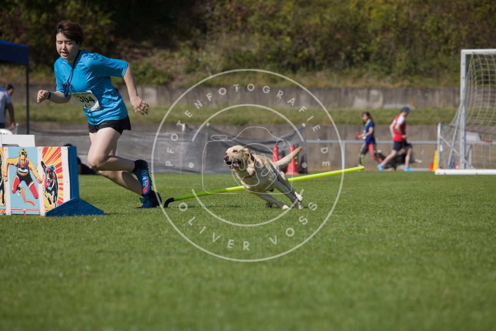 0L8A7390 | Hundefotografie, Tierfotograf, Pfotenfotografie, Fotoshooting Hund, Hunde Portrait, Hundesport, Hundeportraits, Heideshooting, Hunde, Sportfotograf, Hundefotograf, Turnierhundsport, THS,  - Realisiert mit Pictrs.com