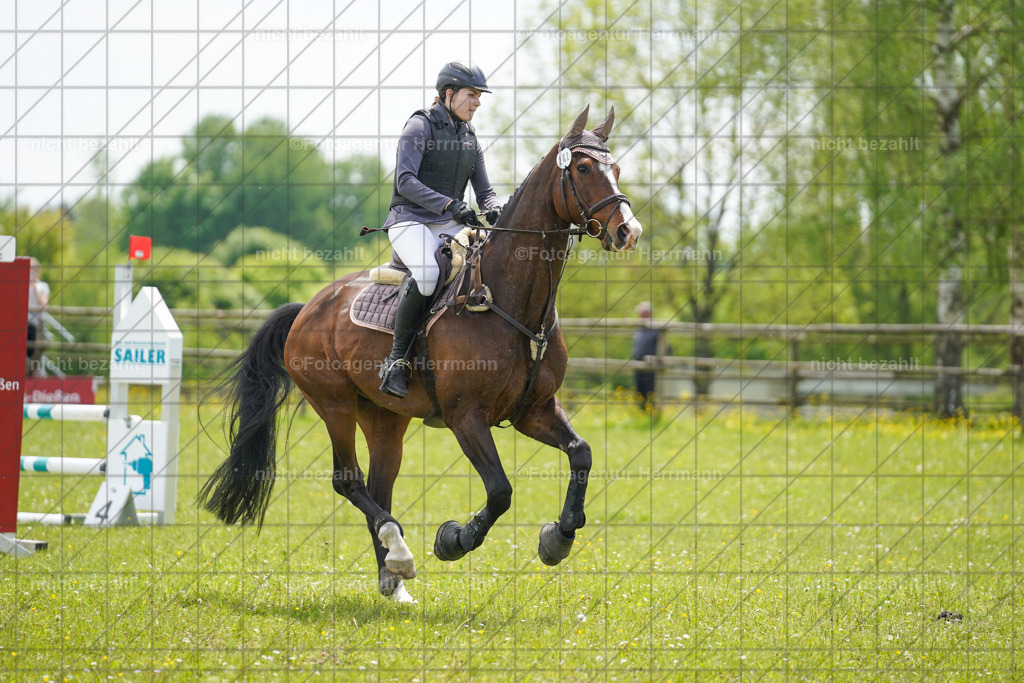 20230521-FAH06294 | Frühjahrsturnier, Landsberg am Lech, 2023, Reitclub Landsberg, Turnierbilder, Fotos Turnier Landsberg, Fotoagentur Herrmann, Turnierfotografen Bayern, Reitsport Fotograf, Pferde Fotograf