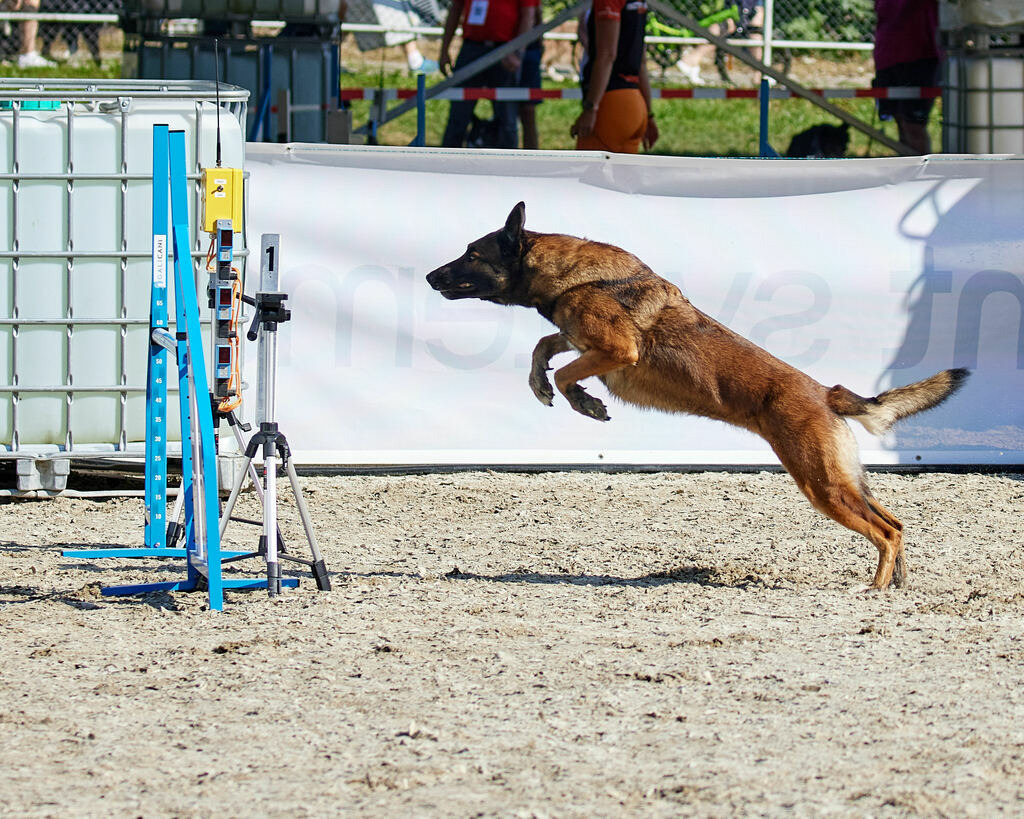 580A0161 | Peter Fridle Fotografie - Realisiert mit Pictrs.com