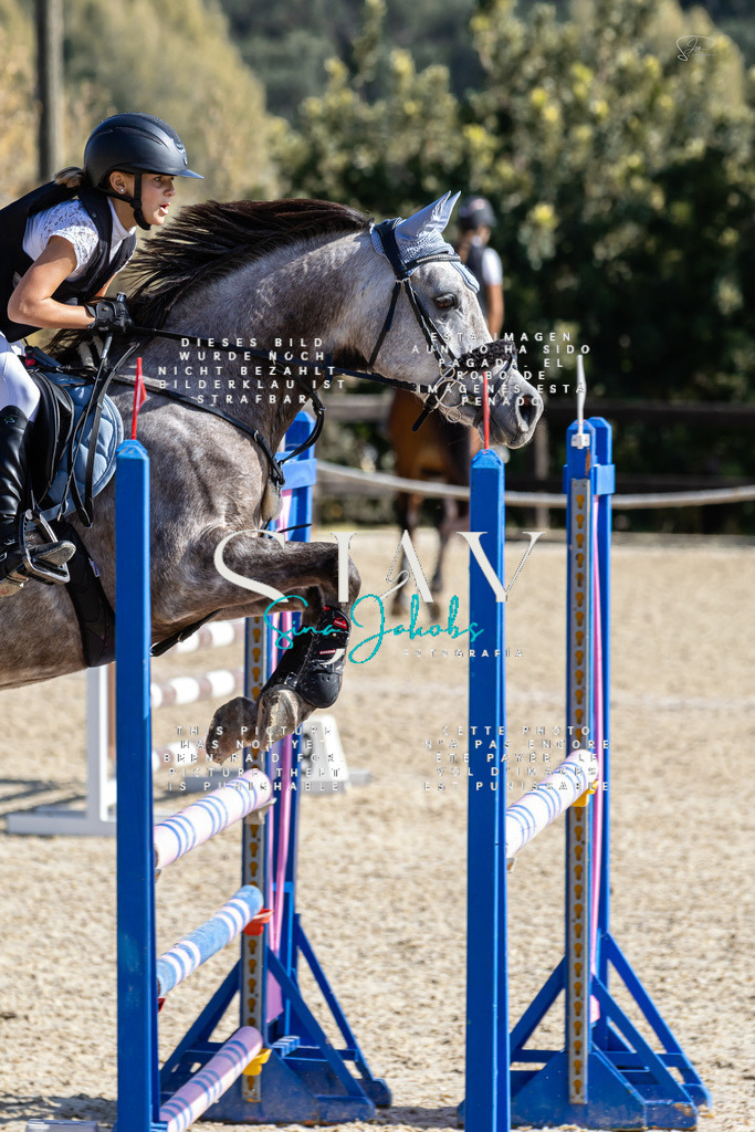 IMG_6324 | s-jay-photography - Realisiert mit Pictrs.com