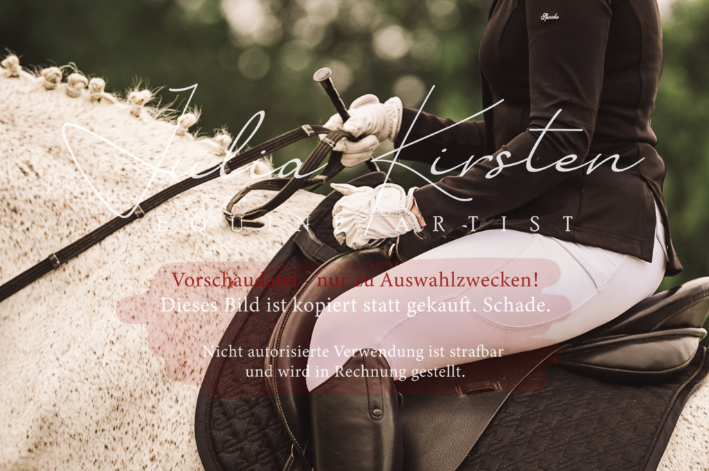 DSC_5034 | Pferde- und Turnierfotografie in Westsachsen. Pferdeportraits, Auftragszeichnungen und intuitive Kunst.