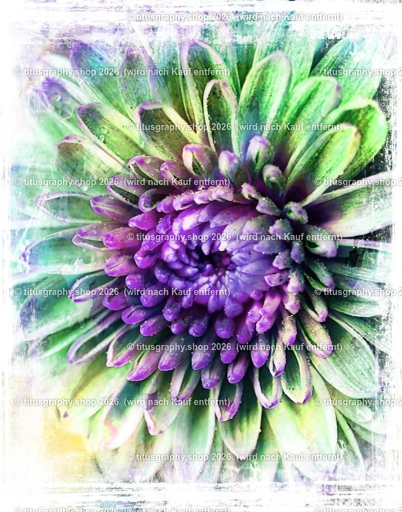 titusgraphy_P7159401-vz-ln_pe-11 | titusgraphy-shop: Geschenkideen mit Qualitätsfotos. titusgraphy-shop: gift ideas with quality photos. titusgraphy-shop: idées cadeaux avec photos de qualité.  - Realisiert mit Pictrs.com