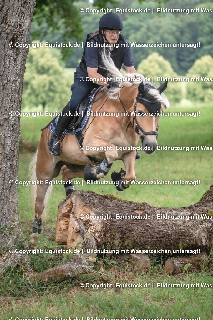 20250726_Vielseitigkeitslehrgang-Marbach_0590 | Foto: Thomas Hartig