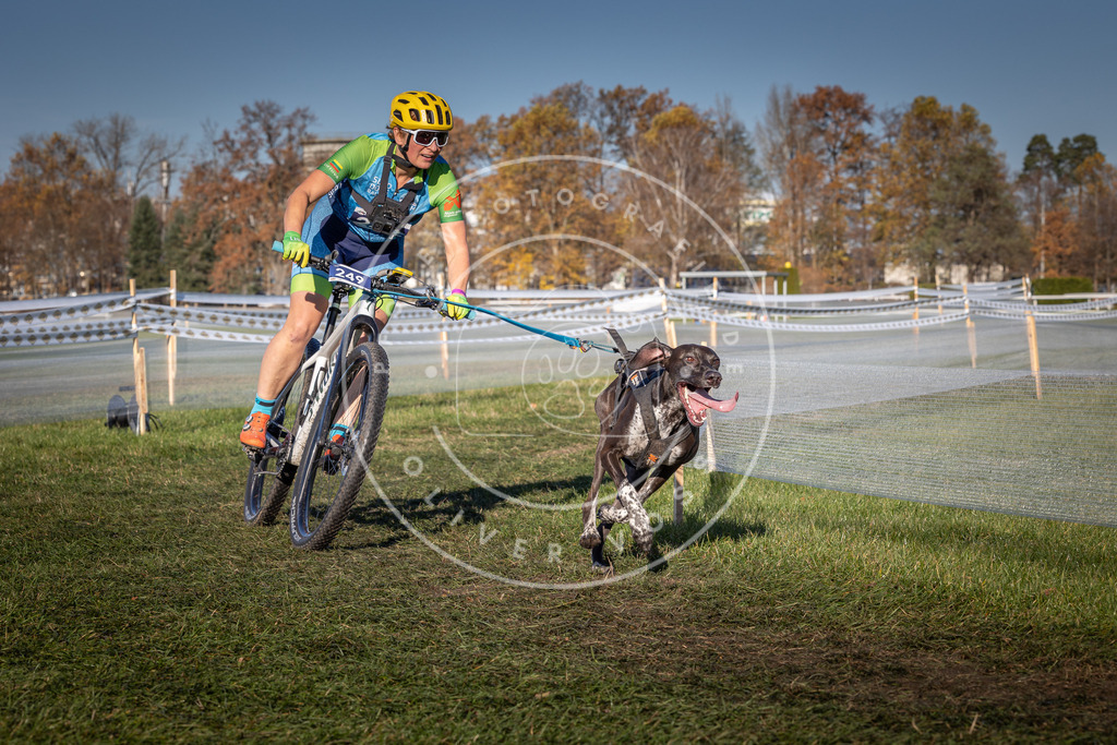 CaniXpix_0L8A4909 | Hundefotografie, Tierfotograf, Pfotenfotografie, Fotoshooting Hund, Hunde Portrait, Hundesport, Hundeportraits, Heideshooting, Hunde, Sportfotograf, Hundefotograf, Turnierhundsport, THS,  - Realisiert mit Pictrs.com