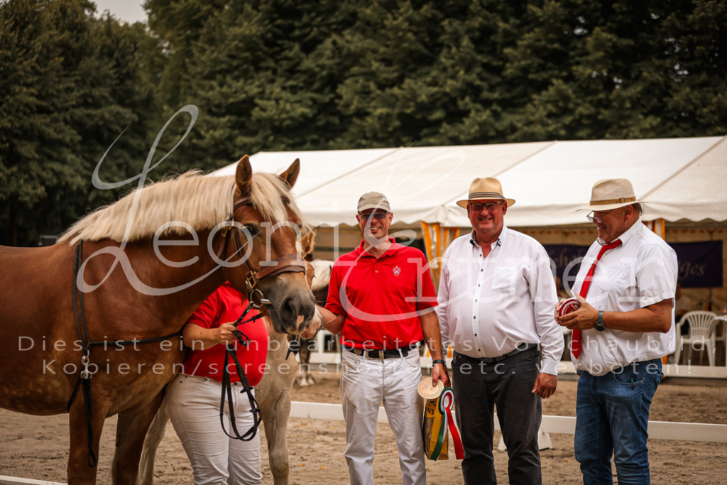 SaHF00116 | Leoni Ertmer Photography - Realisiert mit Pictrs.com