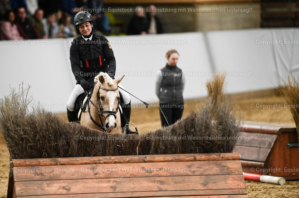 20260307_Hengstvorstellung-Marbach_0401 | equistock