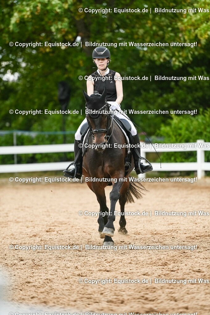 20230716_01_Dressurprüfung Kl.M_0458 | equistock
