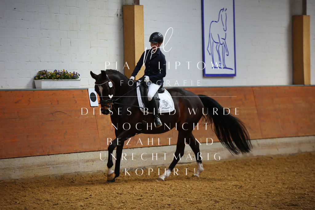 IMGT4040 | pl-fotografie