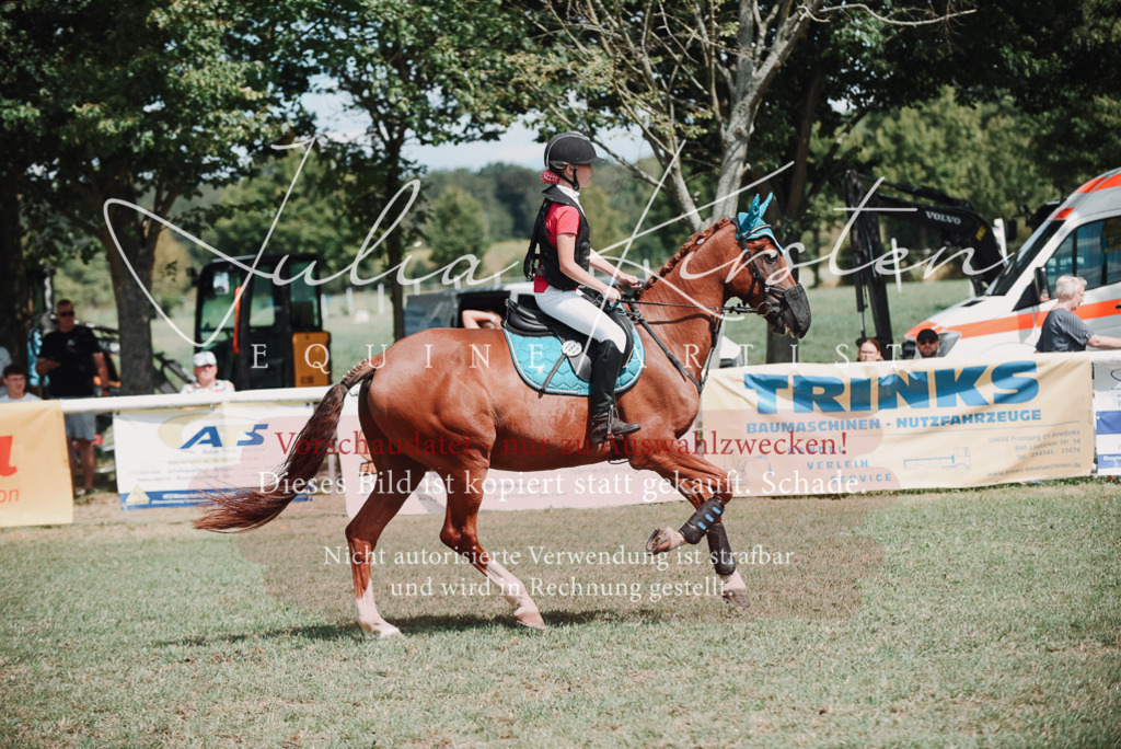 DSC_5790 | Pferde- und Turnierfotografie in Westsachsen. Pferdeportraits, Auftragszeichnungen und intuitive Kunst.