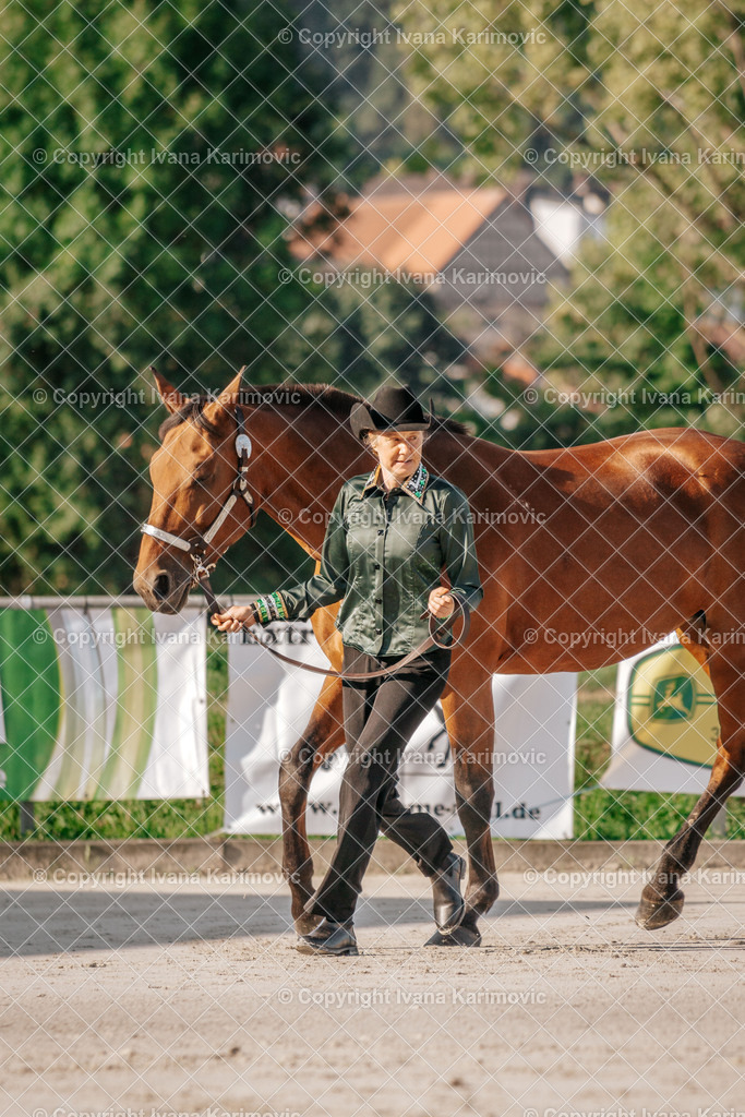 DSC05167 | ikphotography - Realisiert mit Pictrs.com