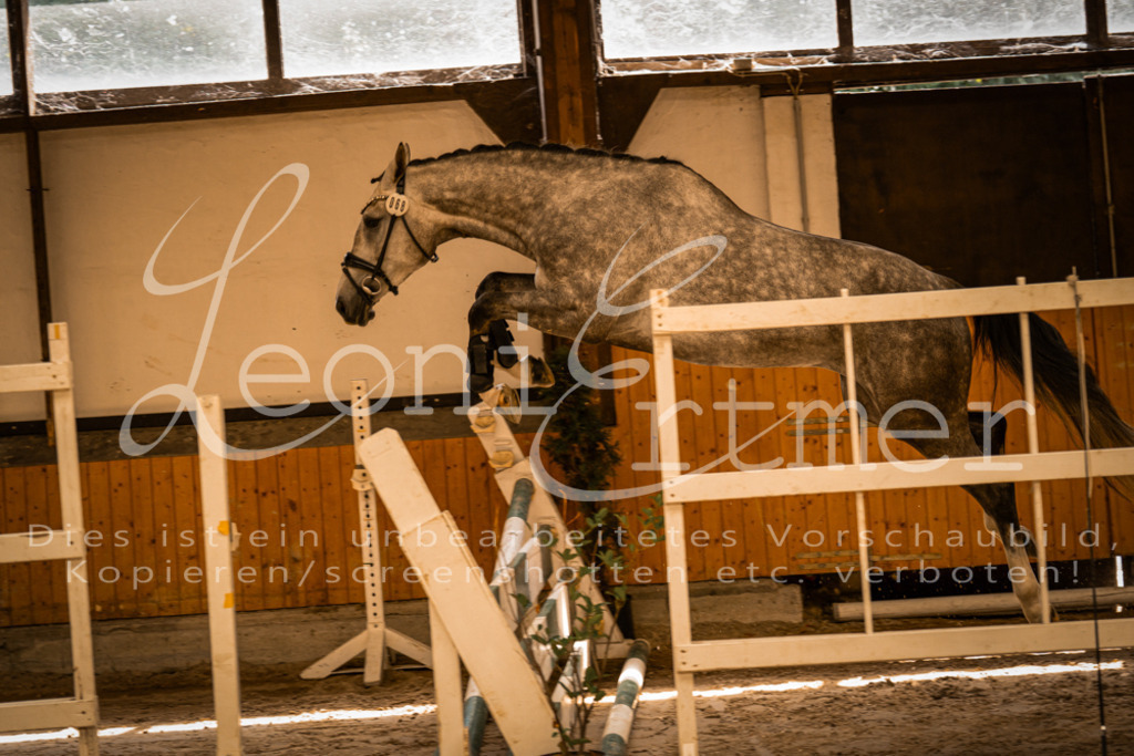 FrFS00003 | Leoni Ertmer Photography - Realisiert mit Pictrs.com