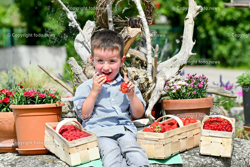 Erdbeeren_ Himbeeren_ Ribisel_ Mayer_ 20.06.2023-26 | 20.06.2023, Raffelding, AUT, Erdbeeren, Himbeeren, Ribisel, Mayer, im Bild Valerian laesst sich die Erdbeeren schmecken, Himbeeren und Ribisel