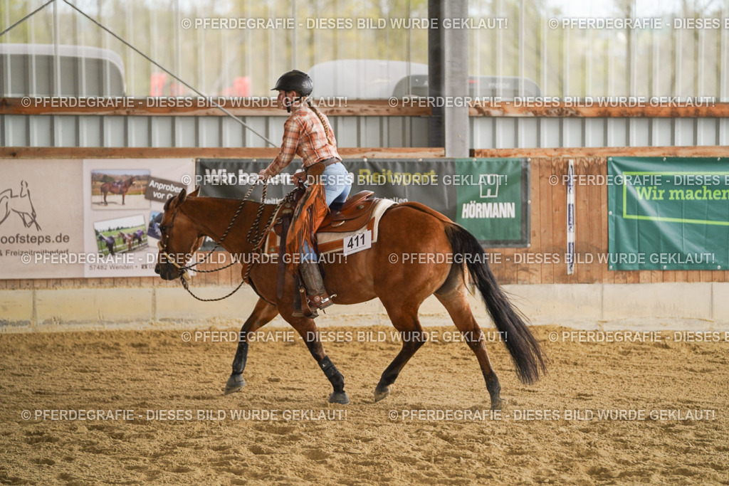 DSC08588 | Pferdegrafie