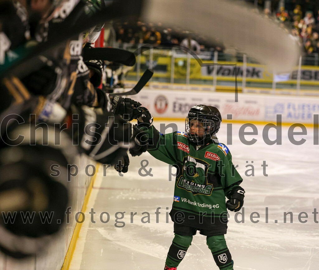 2024-02-16_007_TSV_Erding_gegen_ERSC_Amberg | Erding, Deutschland, 16.02.2024:
Eishockey, Bayernliga Playoffs 2023 / 2024, 1. Spieltag, TSV Erding gegen ERSC Amberg, Endergebnis: 1:2

Foto: Christian Riedel / fotografie-riedel.net