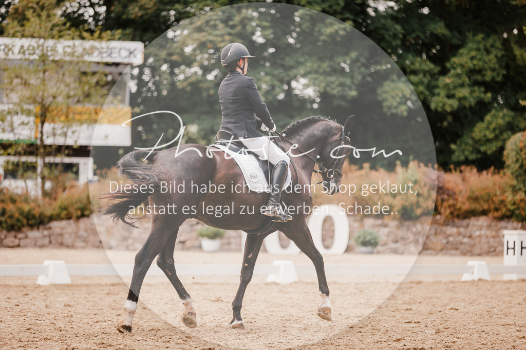 3I6A6002 | Stimmungsvolle Portraits und Reitsportfotografie im Ruhrgebiet und im Münsterland.

Pferdefotografie, Hundefotografie, Tierfotografie, Reportagen, Portraits von Tier und Mensch, Turnierfotografie in Bochum, Recklinghausen, Marl, Haltern am See, Dülmen.. - Realisiert mit Pictrs.com