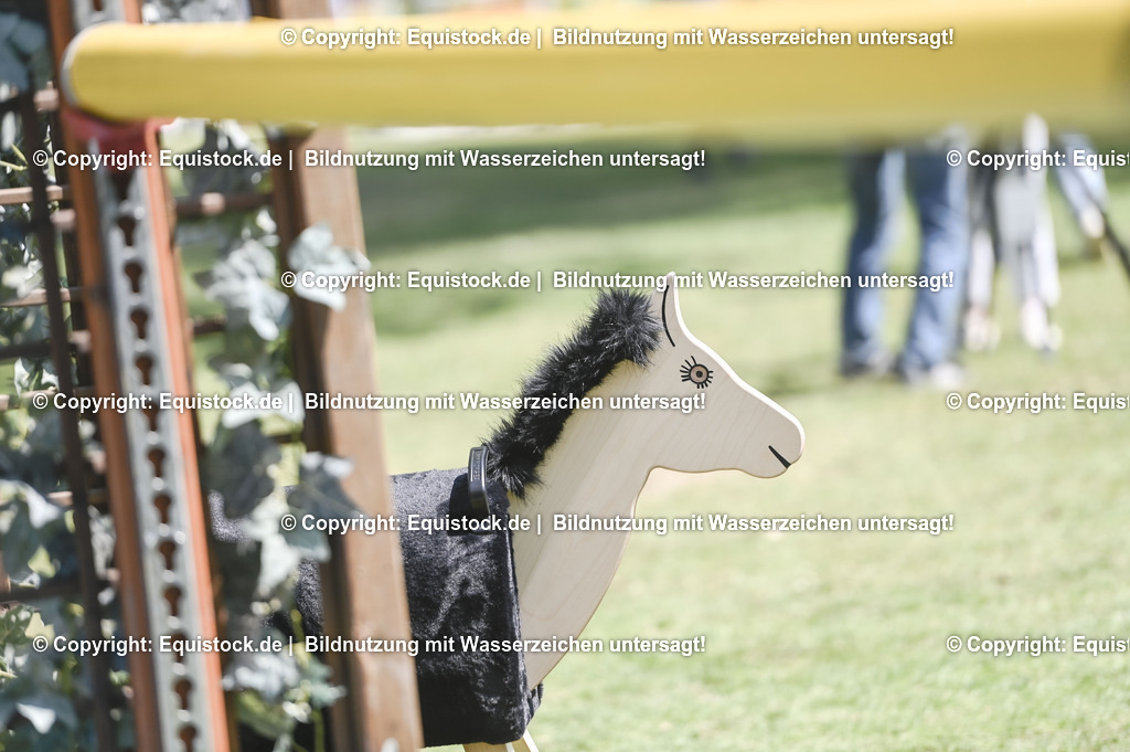 D78_3574 | equistock