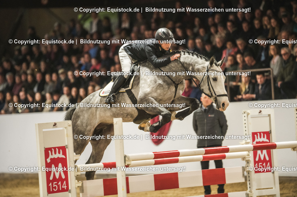 20240302_Hengstvorstellung_Marbach_TOMsPiC_0329 | equistock