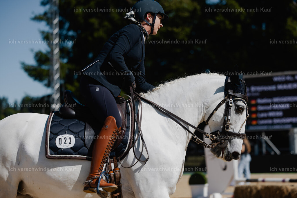 Steffi23_FHC2025-48 | working equitationturnier fotograf videograf stoibphotography marixx film working equitation deutschland reitsport turnierfotografie eventfotografie equestrian events