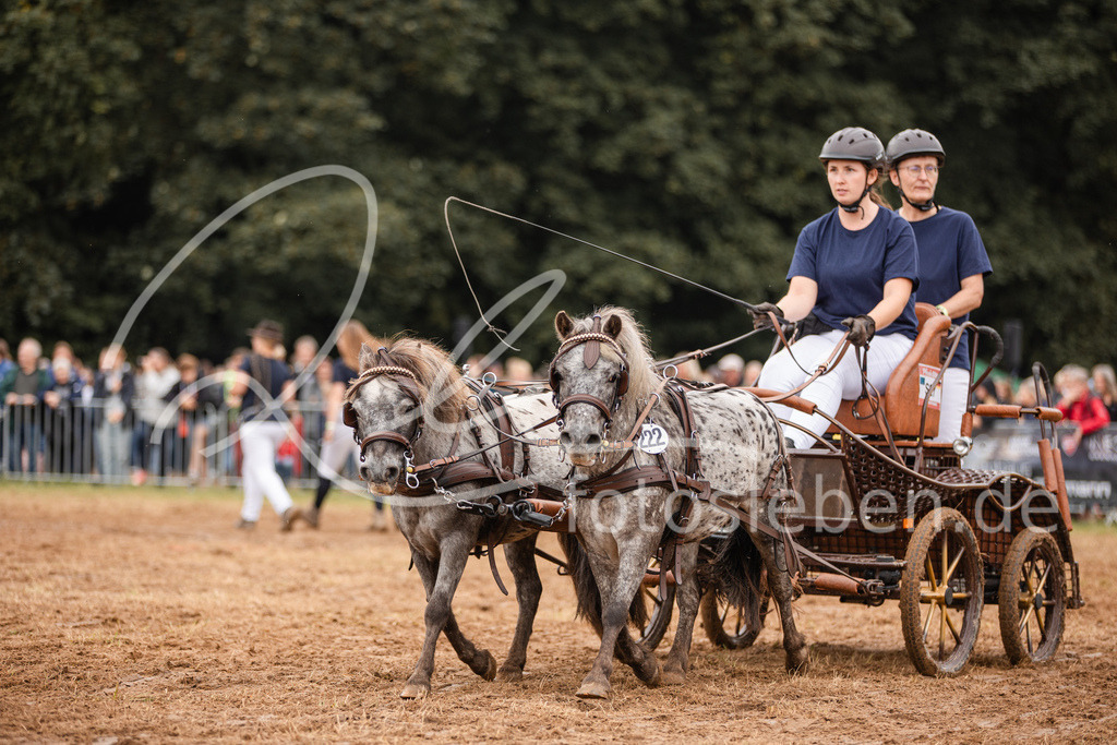 846A3720 | fotosleben - Realisiert mit Pictrs.com