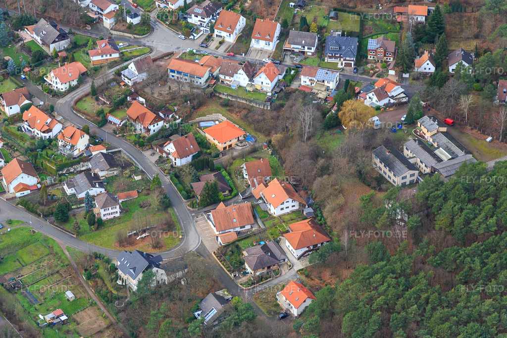 Luftbild: Kastanienstr in Dörrenbach im Bundesland Rheinland-Pfalz in Deutschland. Foto: IMG_085742.jpg vom 08.01.2016 durch Werner Riehm/FLY-FOTO.de