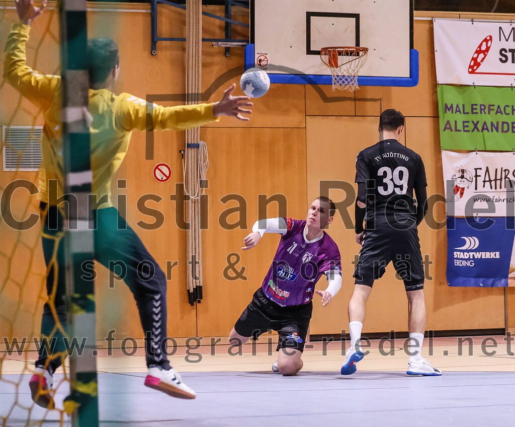 2024-11-09_008_SpVgg_Altenerding_gegen_TV_Altoetting | Erding, Deutschland, 09.11.2024:Handball, Bezirksoberliga Männer 2024 / 2025, 6. Spieltag, SpVgg Altenerding gegen TV Altötting, Endergebnis: 26:22Torwart Dominik Starflinger (TV Altötting, #1), Tristan Gerhardt (SpVgg Altenerding, #71), Johannes Resch (TV Altötting, #39)Foto: Christian Riedel / fotografie-riedel.net