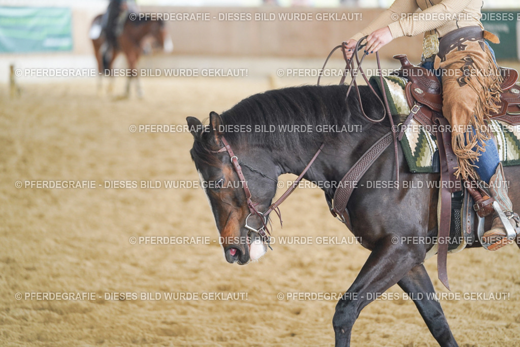 DSC05848 | Pferdegrafie