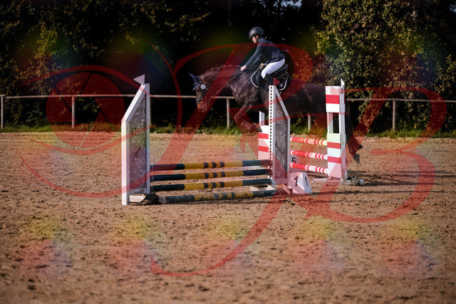 2026_10_03_Siefer-Hof_160134_Z81_82482314 | Professionelle Reitsport-, Turnier- und Eventfotografie von Robert Broda. Galerien mit ausgewählten und bearbeiteten Bildern direkt online ansehen und bestellen.