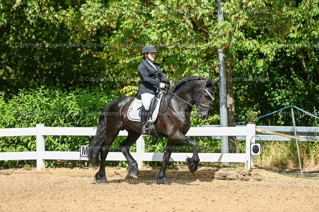 20230715_02_Dressurreiterprüfung Kl.L_0167 | equistock